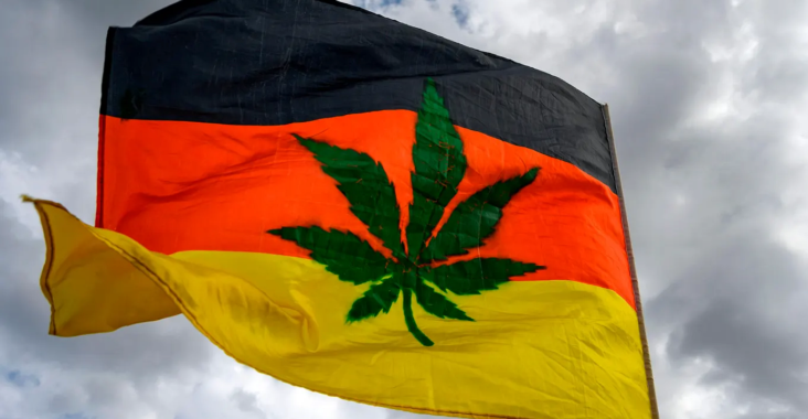 Wirtschaftliche Auswirkungen der Legalisierung von Marihuana